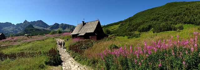 Vysoké Tatry